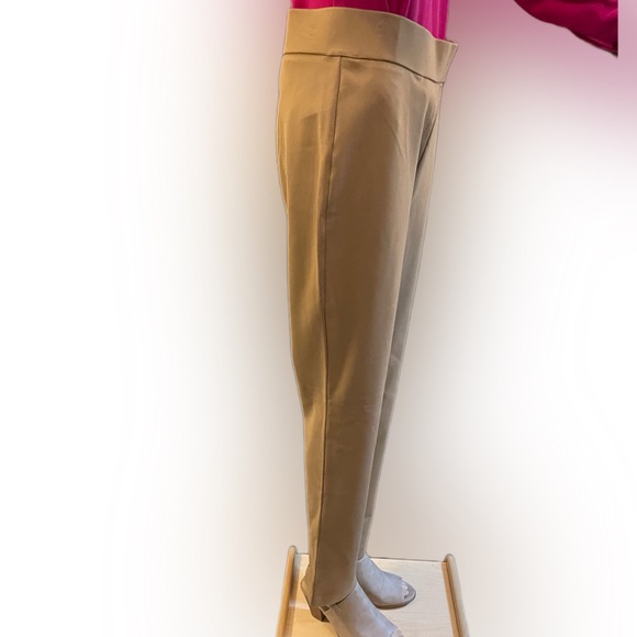 Rafaella Tigers Eye Pull on Curvy Fit Slim Leg Pants - Picture 5 of 11